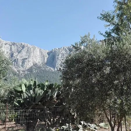 I Girasoli Casa vacanze Oliena