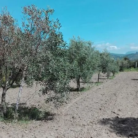 Casa vacanze I Girasoli