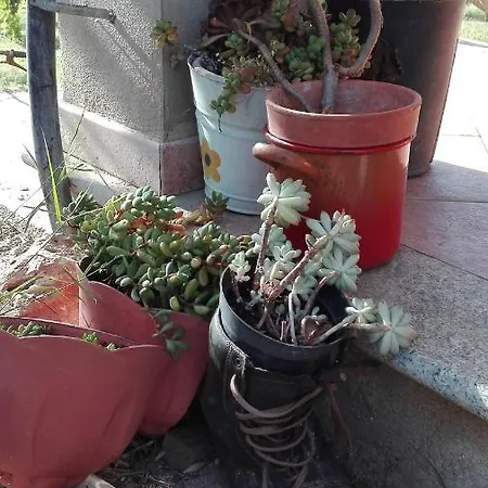 Casa vacanze I Girasoli