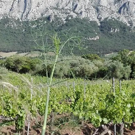 I Girasoli